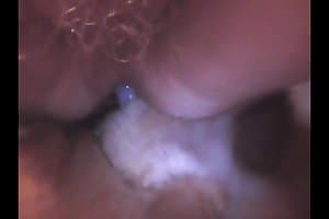 animal fucked,dog porn