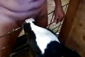 animal fucks,porno with animals
