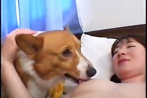 animal porn tube,zoo porn