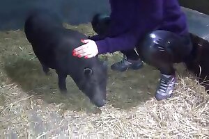 porno with animals,zoo porn