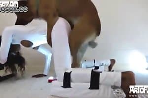 inter x botafogo futemax - teen,zoo fuck